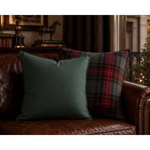 Deco pillow 1096