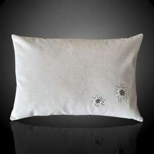 Deco pillow 2080