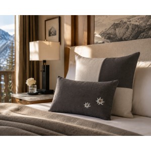 Deco pillow 2081